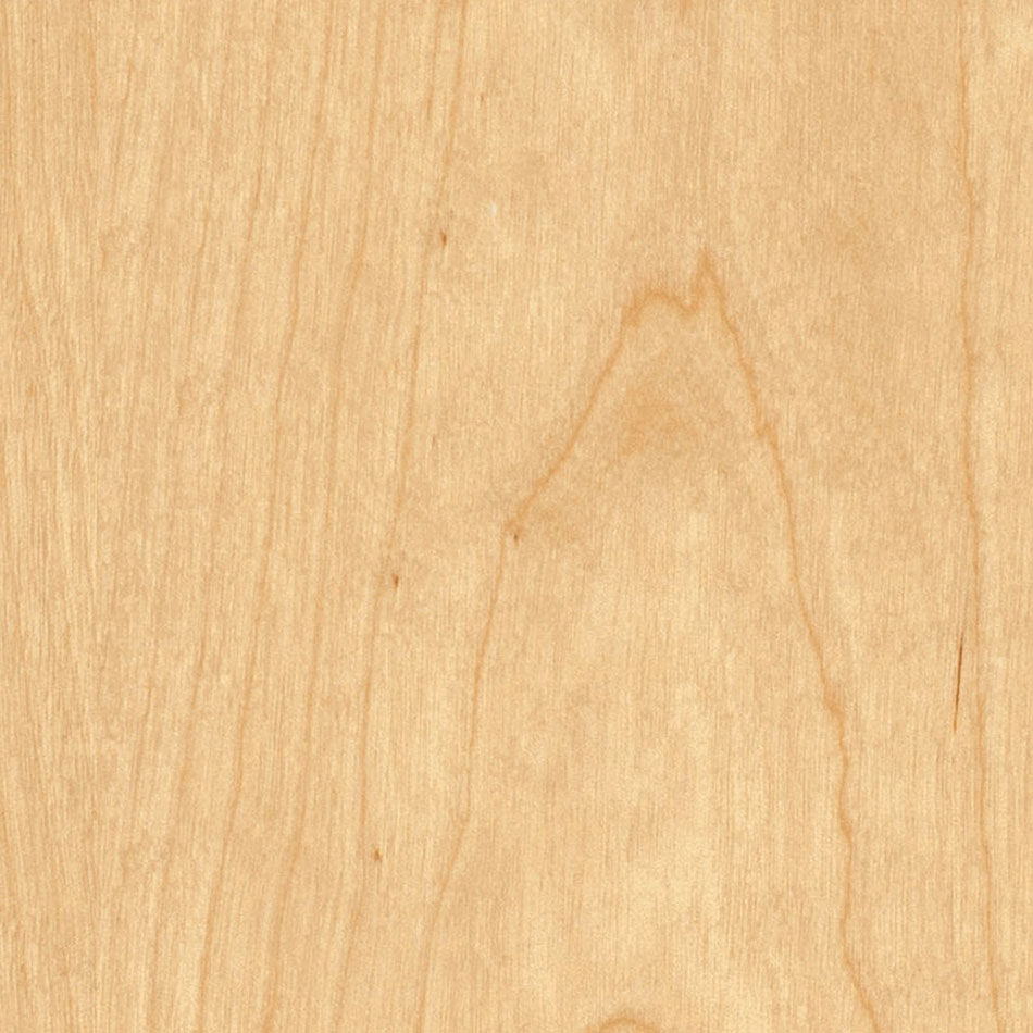 European Birch (Rotary Cut)