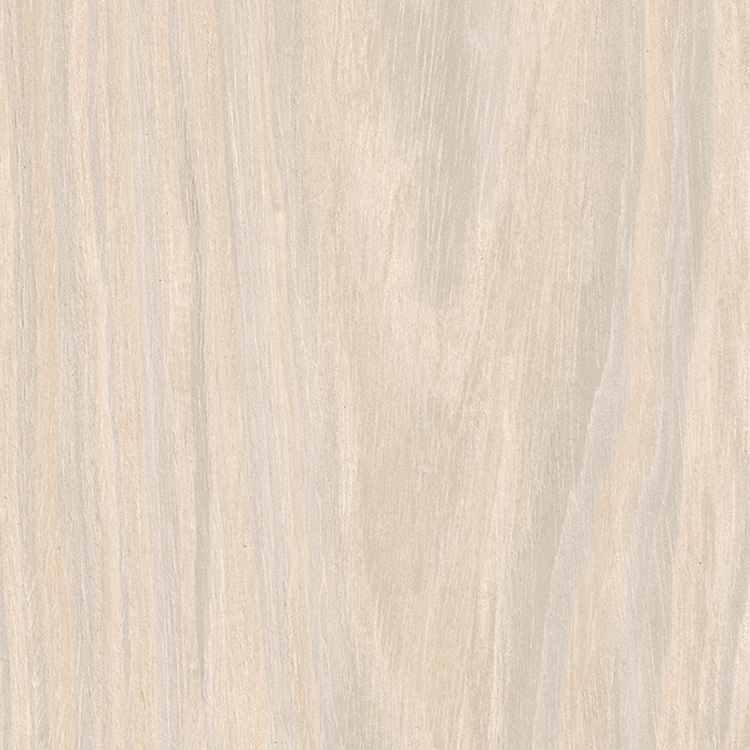 Snow Birch