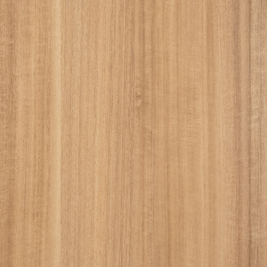 Blackbutt