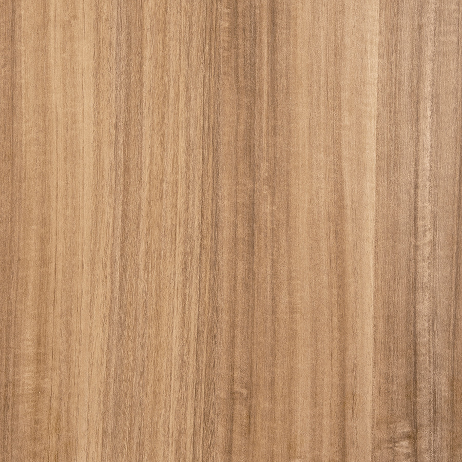Spotted Gum